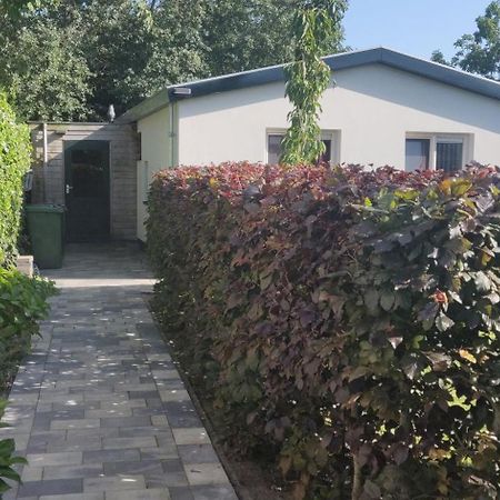 Vakantiebungalow Texel De Cocksdorp (Texel) Exterior foto