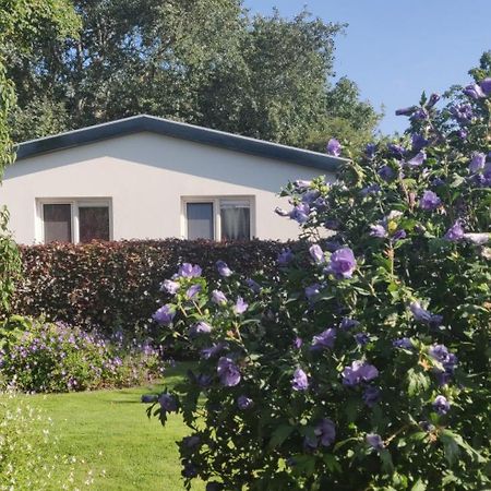 Vakantiebungalow Texel De Cocksdorp (Texel) Exterior foto