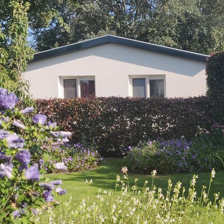 Vakantiebungalow Texel De Cocksdorp (Texel) Exterior foto