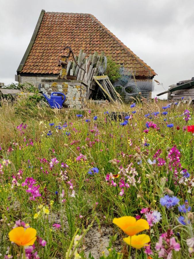 Vakantiebungalow Texel De Cocksdorp (Texel) Exterior foto