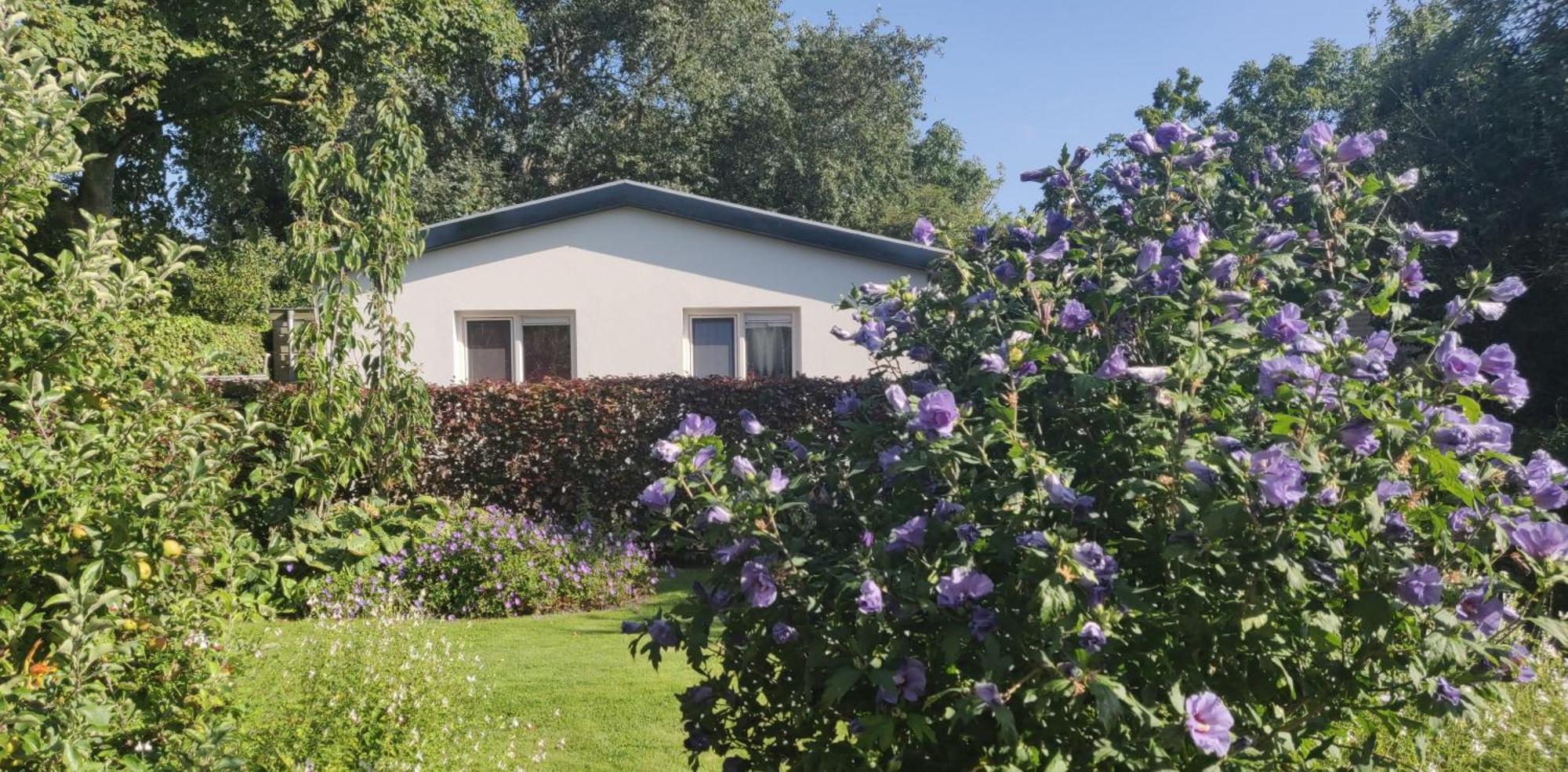 Vakantiebungalow Texel De Cocksdorp (Texel) Exterior foto